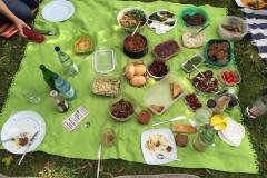 Picknick-1